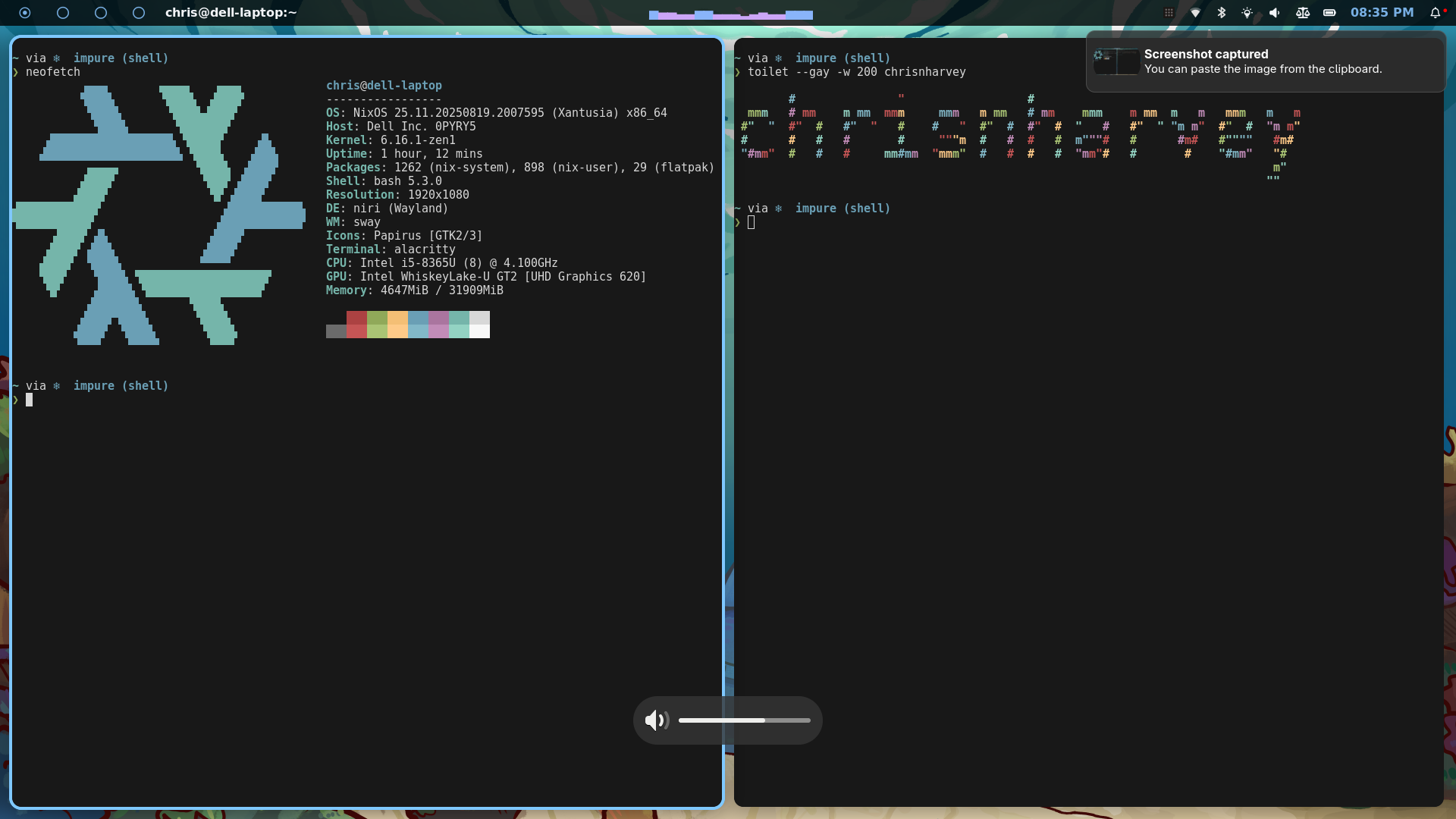 My Niri Setup